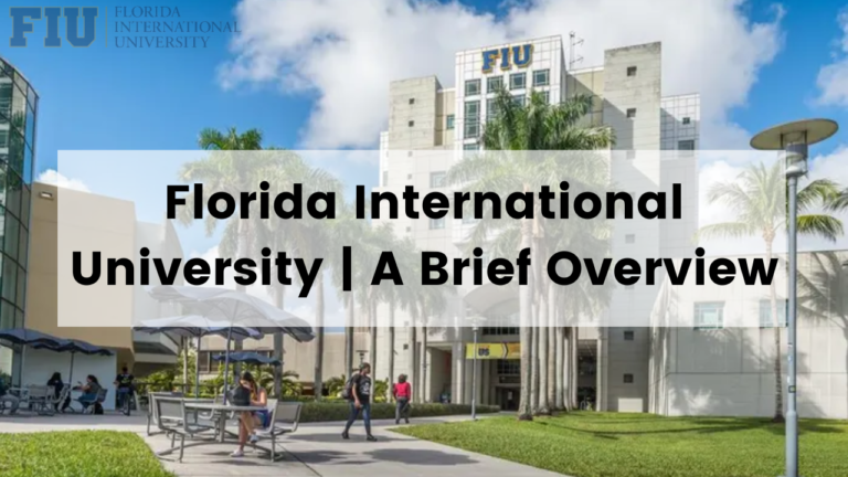 Florida International University | A Brief Overview